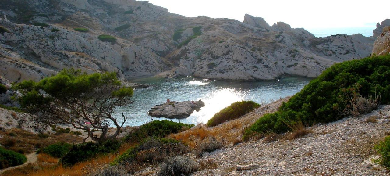 Les Pieds Dans L'Eau Sur L'Ile Du Frioul Lägenhet Marseille Exteriör bild